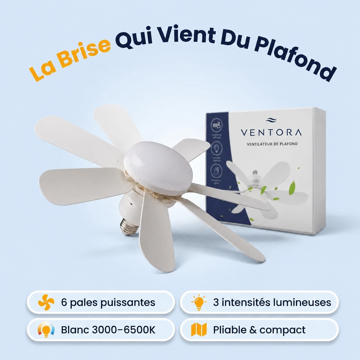 Ventilateur de Plafond – 2-en-1 Lumière & Ventilation
